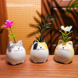 MOUGIGI 3PCS Mini Flower Vases–Unique Small cat vase-Cute Ceramic Bud Vases for Single Stem Flowers & Cat Whisker-Home Decor for Desks & Bookshelves-Ideal Gift for Cats Lovers & Flower Enthusiasts