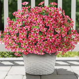 VIERENA 12 Bundles Artificial Flowers and Eucalyptus for Outside, Sun Resistant Silk Fake Morning Glory with Faux Eucalyptus Plants for Garden Porch Farmhouse Home Spring Summer Decor (Rose Red)