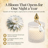 VIONAMI Luxury Scented Candle Gift – Queen of The Night Rare Flower Fragrance in Elegant Glass Jar, Decorative Soy Candles Gifts for Women, Long-Lasting 80 Hr, 14.8 oz, Luxury Candles for Women