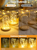 btfarm 4 Pack Fairy Lights Battery Operated with Timer, 16FT 50LED Twinkle String Lights USB Powered, 8 Mode Dimmable Cuttable Wire Light Waterproof for Indoor Bedroom Wedding Christmas, Warm White