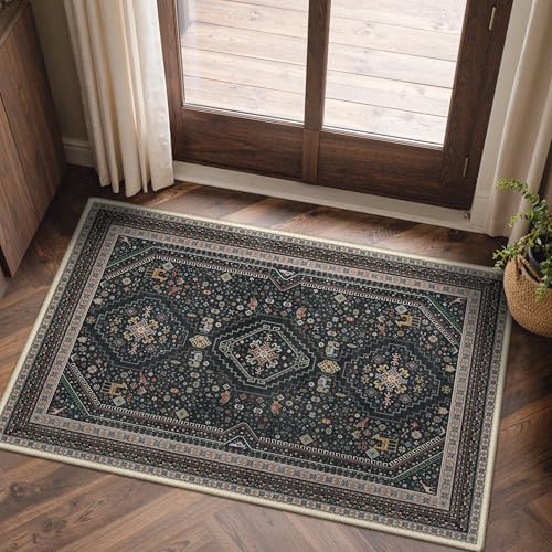 GENIMO 2x3 Entryway Rug, Washable Small Indoor Area Carpet Floral Ebony