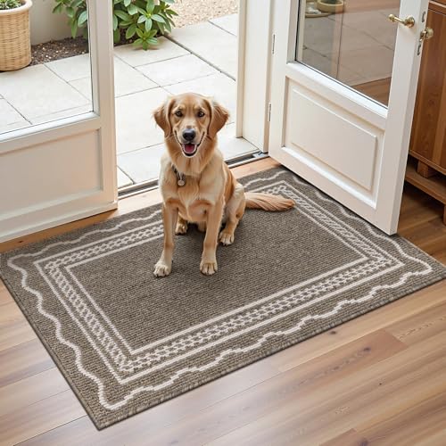 Indoor Door Mat 2x3ft, Absorbent Dog Muddy Paws Mats, Low-Profile Entrance Small Runner Carpet with Non-Slip Rubber Backing, Washable Inside Welcome Mat for Hallway,Entryway,Kitchen (Brown)