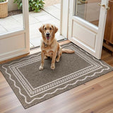 Indoor Door Mat 2x3ft, Absorbent Dog Muddy Paws Mats, Low-Profile Entrance Small Runner Carpet with Non-Slip Rubber Backing, Washable Inside Welcome Mat for Hallway,Entryway,Kitchen (Brown)