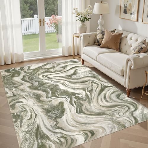 5x7 Area Rug for Living Room Washable Abstract Indoor Carpet