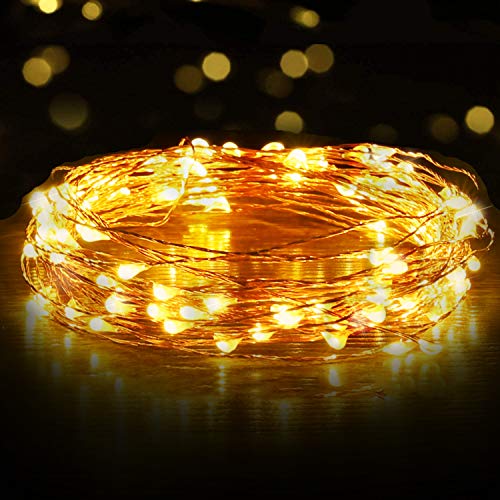 Ariceleo USB LED Fairy String Light, 1 Pack Copper Wire Fairy Lights for Indoor, Bedroom Festival Christmas Wedding Party Patio Decorative Window with USB Interface (16ft./5M,Warm White)