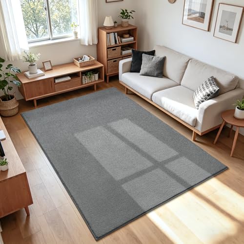 ISEAU 3x5 Soft Area Rug for Bedroom, Washable and Non-Slip, Grey