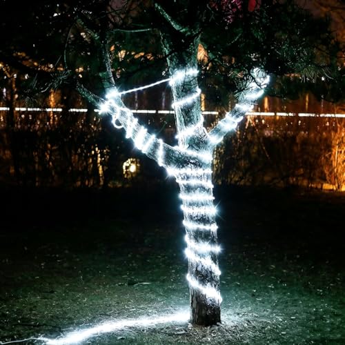 DINGFU 50ft 360 LED Waterproof Rope Lights, 110V Connectable Indoor Outdoor White Led Rope Lights for Outside, Deck, Patio, Pool, Camping, Bedroom Decor, Landscape Lighting and More (White)