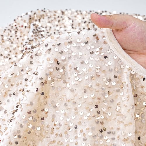 Champagne Gold Christmas Tree Skirt 24 Inches Small Tree Skirt Velvet Sequin Tree Skirt for Christmas Tree Mat Decorations