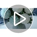 Artificial Flowers with Ceramic Vase Faux Hydrangea Flower Arrangements Table Centerpieces for Home Garden Party Wedding Decoration