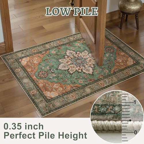 Tangsoo 5x7 Washable Area Rugs for Living Room, Vintage Indoor Non Slip Rug