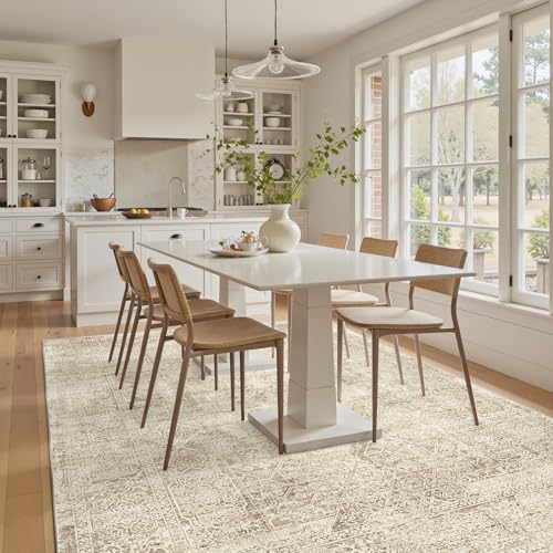 Soalmost 6x9 Area Rug for Living Room Washable Non-Slip Rugs Light Brown