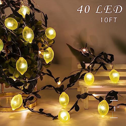 3D Lemon LED String Lights USB/Battery Operated Light String with Remote Timer 10FT 40LEDs Lemon Light Bulbs with Branches Leaves Fairy Lights for Bedroom Birthday Garden Party Decorations