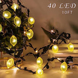 3D Lemon LED String Lights USB/Battery Operated Light String with Remote Timer 10FT 40LEDs Lemon Light Bulbs with Branches Leaves Fairy Lights for Bedroom Birthday Garden Party Decorations