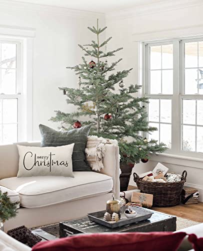 DFXSZ Christmas Throw Pillow Covers 12x20 Inch Set of 2 Merry Christmas Farmhouse Decorations Believe Holiday Decor Throw Cushion Case for Home Couch