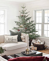 DFXSZ Christmas Throw Pillow Covers 12x20 Inch Set of 2 Merry Christmas Farmhouse Decorations Believe Holiday Decor Throw Cushion Case for Home Couch