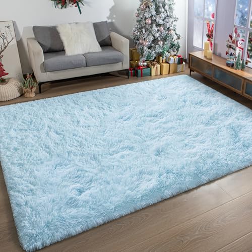 Ultra Soft Fluffy Rugs for Bedroom 4x6 Feet, Shag Area Rugs for Living Room, Large Comfy Furry Rug for Boys Kids Baby Room Decor, Non Slip Nursery Rug Modern Indoor Fuzzy Floor Carpet, Light Blue
