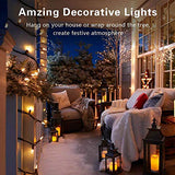 woohaha Christmas Lights,2 Pack 13ft 50 Count Incandescent Bulb Green Wire String Lights Connectable, Mini String Light for Indoor Outdoor Garden Tree Wedding Party Decoration (Warm White)