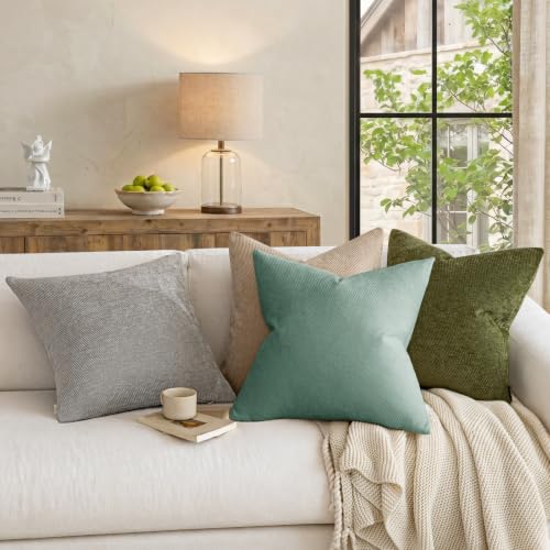 a moment Pack of 2 Decorative Chenille Throw Pillow Covers with Twill Cushion Covers for Sofa Living Room Couch Bed 20x12 Inch Teal