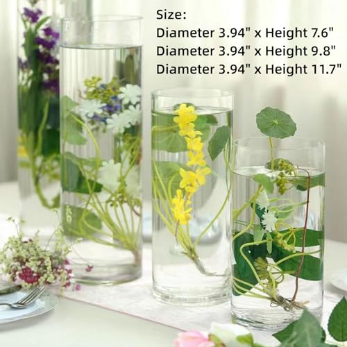3 Pcs Acrylic Clear Cylinder Flower Vase for Plants Bouquet, Unbreakable Hurricane Tall Large Plastic Vases for Wedding Centerpieces, Hydroponic Decor Base Set of 3 (H 8" + H 10" + H 12" No Flowers)