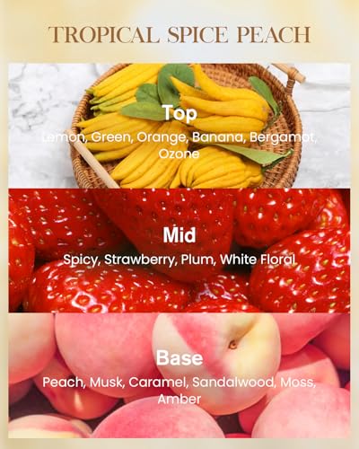 M&SENSE Tropical Spice Peach Soy Candle, 14.1oz, Summer Fruit Scent
