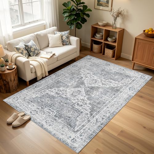 5x8 Area Rugs, Washable Non-Slip Low Pile Rugs for Living Room
