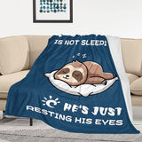 Pop Pop Birthday Gifts from Grandkids, Gifts for Pop Pop/Grandpa, Grandpa Birthday Gifts, Soft & Cozy Sloth Blanket Throw 60" X 50"