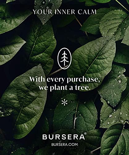 Bursera Terracotta Palo Santo Holder, Tree Planted with Every Order, Ceramic Palo Santo Burner Wood Stand, Incense Stick Burning Tray