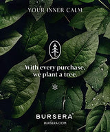 Bursera Terracotta Palo Santo Holder, Tree Planted with Every Order, Ceramic Palo Santo Burner Wood Stand, Incense Stick Burning Tray