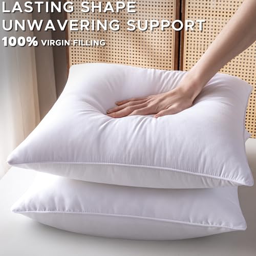 12 x 20 Pillow Insert Set of 2 Down Alternative Throw Pillow Inserts Small Lumbar Decorative Pillow White Rectangle Pillows Stuffing for Living Room Couch Bed Sofa Interior Cushions