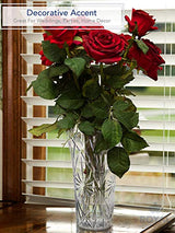 Royal Imports Flower Acrylic Vase Decorative Centerpiece for Home or Wedding Non-Breakable Plastic - 9" Tall, 4" Opening - Clear