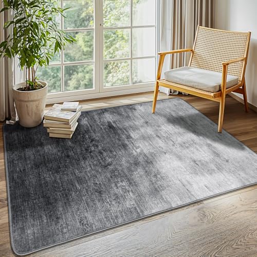 4x6 Washable Area Rug, Gray Solid Area Rugs for Living Room & Bedroom