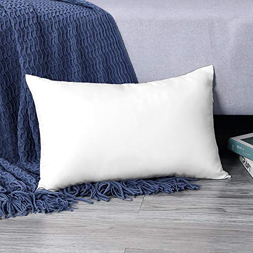 OTOSTAR 16x24Inch Throw Pillow Inserts, Set of 1 Rectangle Form Cushion Stuffers for Couch, Sofa, Bed - Indoor Decorative Pillows Inserts