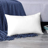 OTOSTAR 16x24Inch Throw Pillow Inserts, Set of 1 Rectangle Form Cushion Stuffers for Couch, Sofa, Bed - Indoor Decorative Pillows Inserts