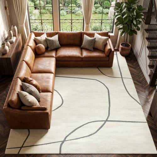 jinchan 9x12 Modern Abstract Curved Line Washable Area Rug, Grey