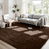 4x6 Fluffy Shag Area Rugs for Living Room Bedroom: Soft Plush Carpet Brown