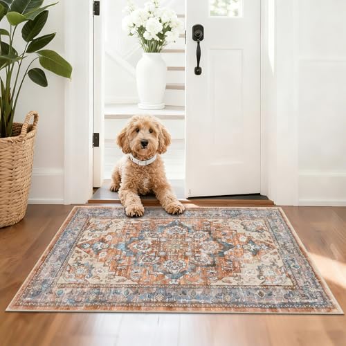 Entryway Rug 2x3 Washable Vintage Soft Floor Mat Non Slip Indoor Entrance Small Rugs Low Pile Area Rug Throw Rugs