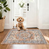 Entryway Rug 2x3 Washable Vintage Soft Floor Mat Non Slip Indoor Entrance Small Rugs Low Pile Area Rug Throw Rugs