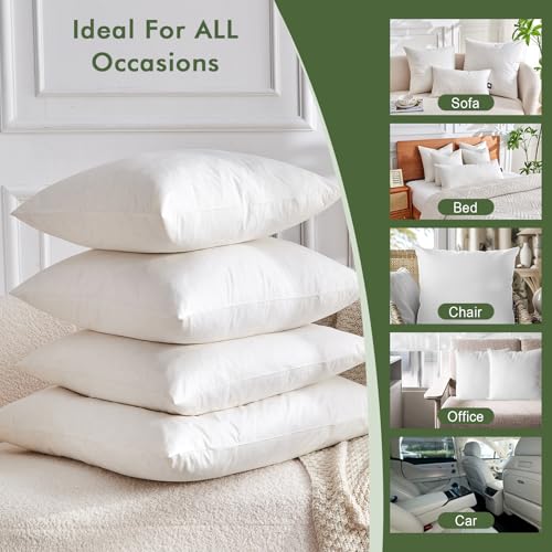 TOPGREEN Feathers Down Throw Pillow Inserts 12x20, Set of 2, 100% Organic Cotton Shell, Soft Decorative Lumbar Pillow Insert for Living Room Sofa, Couch, or Bed (White)
