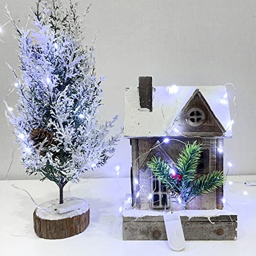 Etinga 10 Pack Fairy Lights Battery Operated String Lights, 10 LED on 3.3ft Silvery Copper Wire，for Flowers Gift Box Wedding Party Christmas Decoration (10 Pack, Cool White)