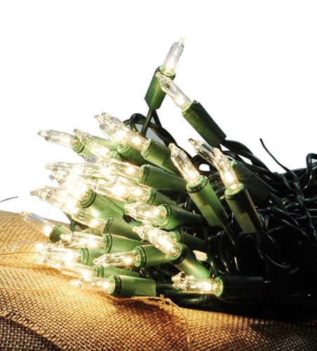 50-Count Clear Christmas Light Set