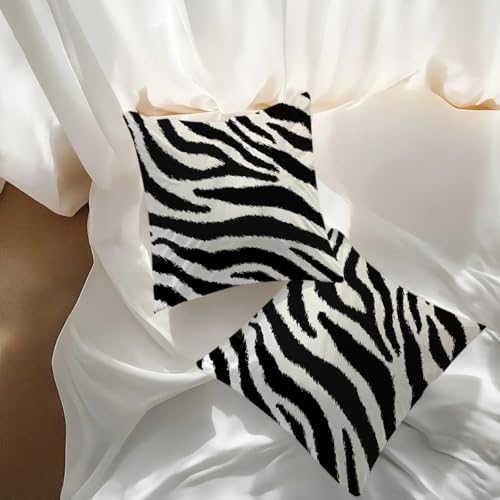 2Pcs Zebra Print Striped Pillow Covers, Black White Print Modern Decor Throw Pillow Square Cushion Covers 18x18 inch Nursery Living Room Home Decor for Car Bed Couch