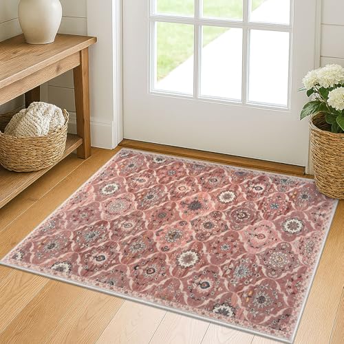 2x3 Small Washable Area Rug Entryway Doormat Indoor Kitchen Runner