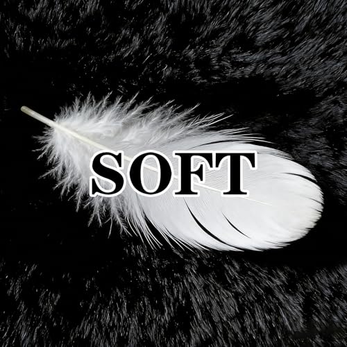8x10 Area Rugs for Living Room: Soft Black Fluffy Rug Shag Washable Rug Plush Fuzzy Indoor Carpet for Bedroom Nursery Playroom Girls Boys Kids Room (Black, 8'x10')
