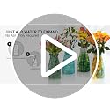 MODGY Collapsible and Expandable Plastic Flower Vase, Unbreakable, Foldable, Decorative Modern Centerpieces, Table Decorations, Louis C. Tiffany Poppies, 1 Pack