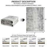 Modern Abstract 8x10 Area Rug, Machine Washable Non-Slip  Foldable Carpet
