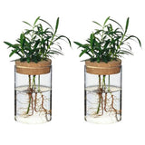 Separated Desktop Glass Flower Vases - Ideal Plants Propagation Stations for Living Room, Bedroom Decoration,Home Decor (2)
