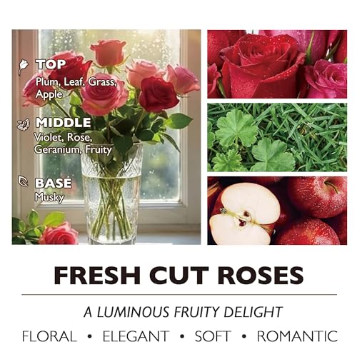 Home Lights 4-Wick Candles for Home Scented - 18oz Soy Wax Candle Long-Lasting Fragrance, Bohemian Natural Textures Home Decor and Housewarming Gifts, Fresh Cut Roses