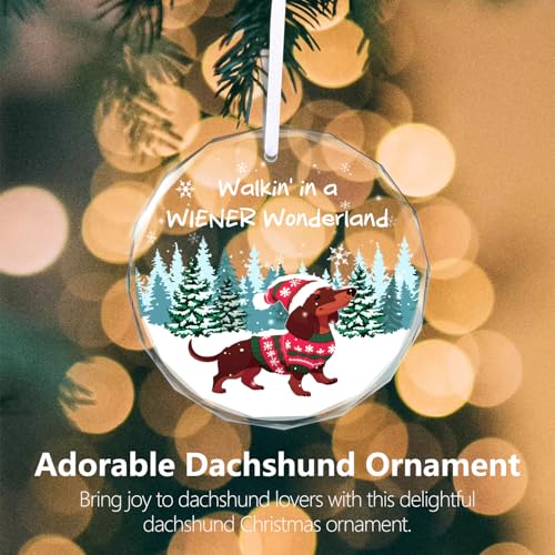 Christmas Ornaments 2025 - Dachshund Christmas Decorations Weiner Dog Decor Dachshund Gifts for Women Glass Christmas Dachshund Ornament with Box