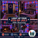 Novelty Lights 100 LED 50ft Red White Blue Lights, USA Patriotic 4th of July String Lights, Wide Angle Mini Lights on Green Wire, Commercial Grade, Connectable Indoor Outdoor Christmas Lights