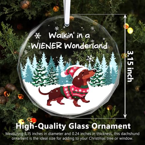 Christmas Ornaments 2025 - Dachshund Christmas Decorations Weiner Dog Decor Dachshund Gifts for Women Glass Christmas Dachshund Ornament with Box